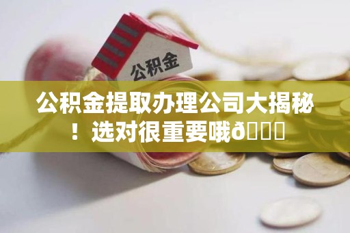 龙海公积金提取办理公司大揭秘！选对很重要哦😎